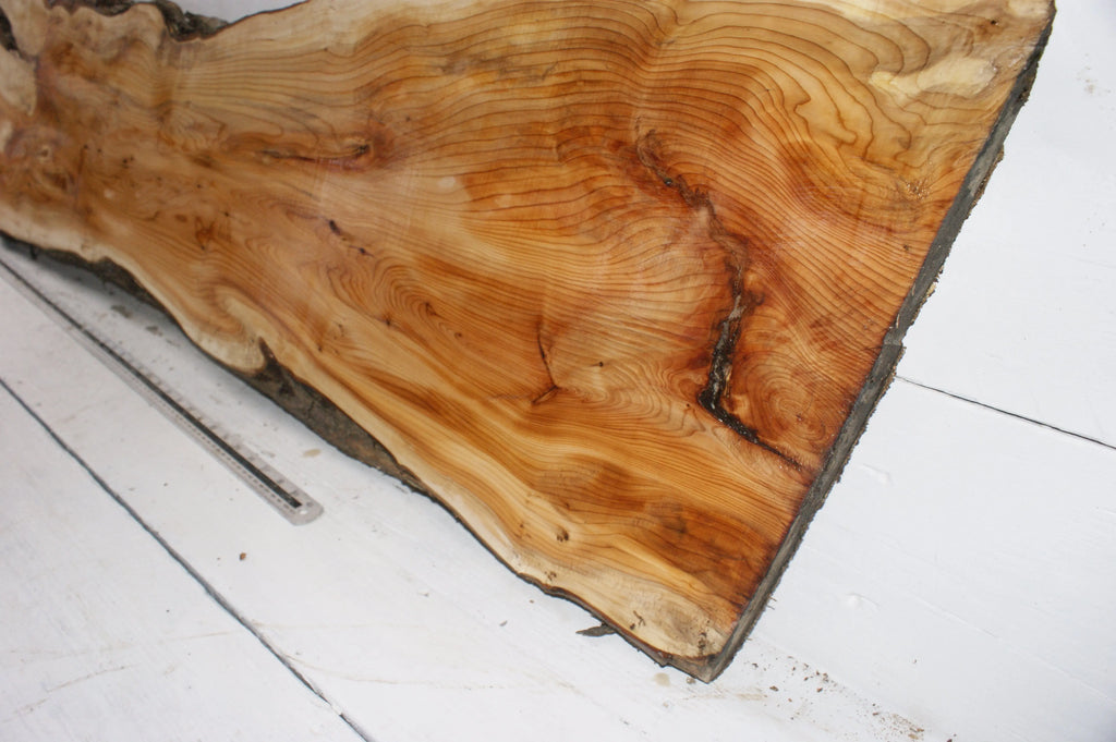 English Yew  1650 L x 555-290 W x 37 D (mm)    (149) Yew