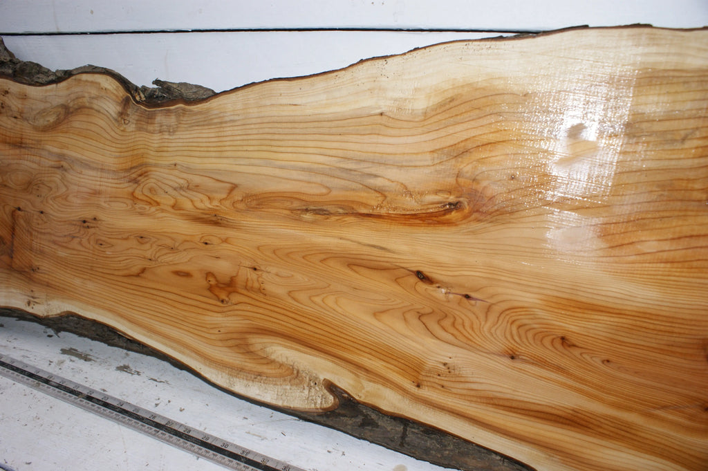 English Yew  1650 L x 555-290 W x 37 D (mm)    (149) Yew