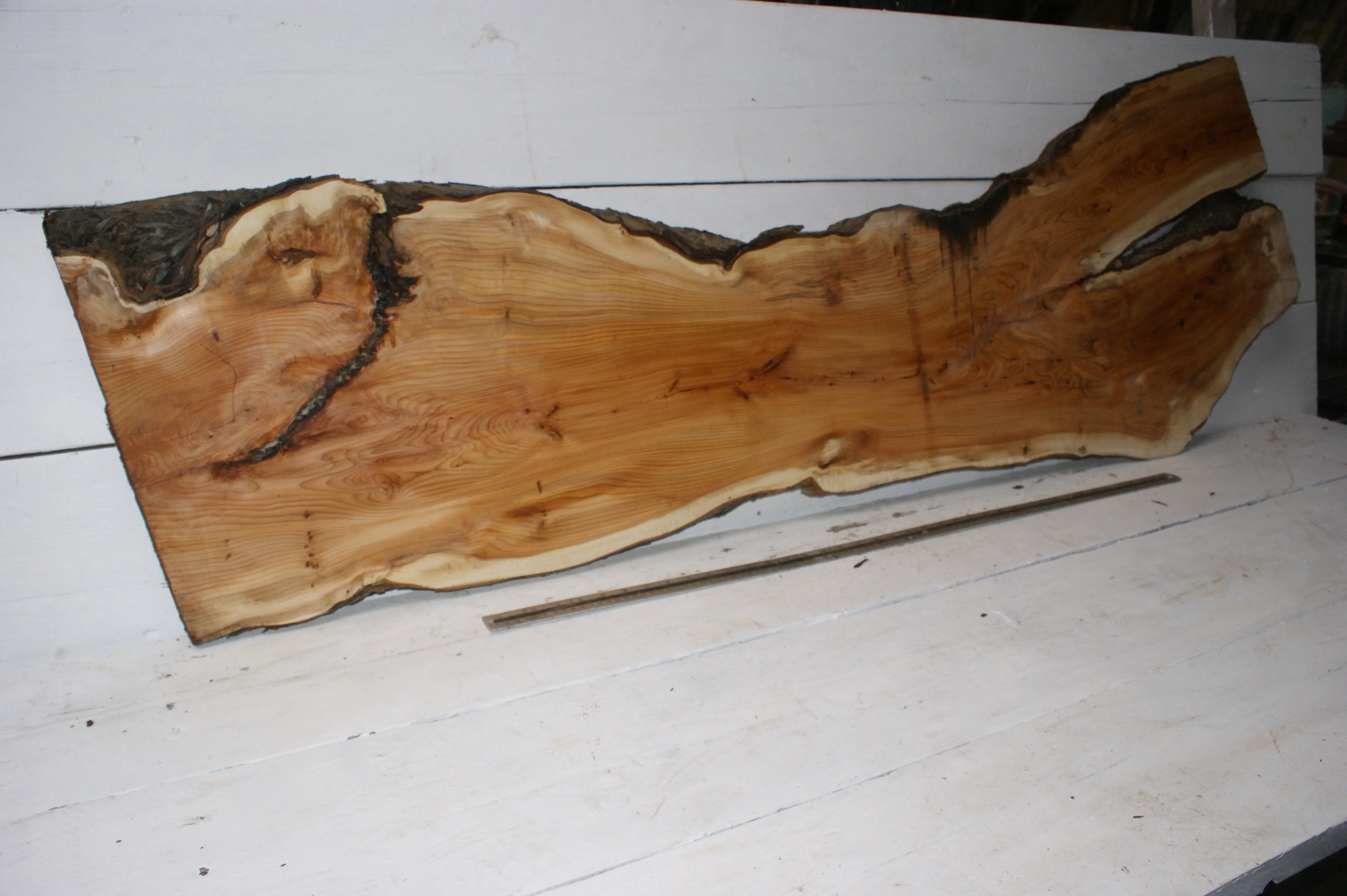 English Yew  1650 L x 555-290 W x 37 D (mm)    (149) Yew