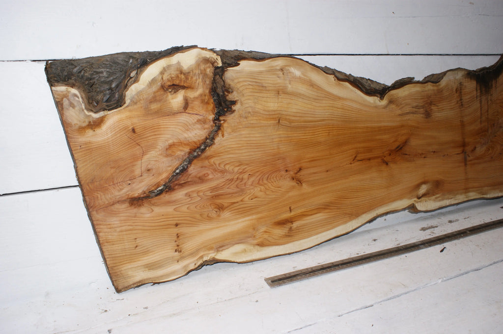 English Yew  1650 L x 555-290 W x 37 D (mm)    (149) Yew
