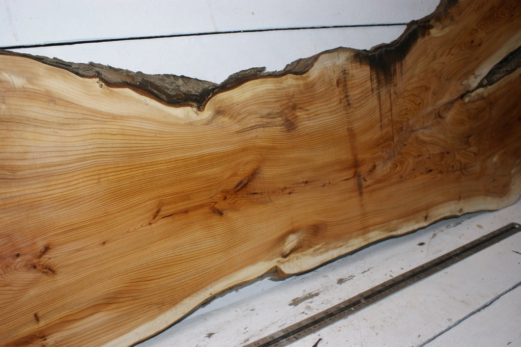 English Yew  1650 L x 555-290 W x 37 D (mm)    (149) Yew