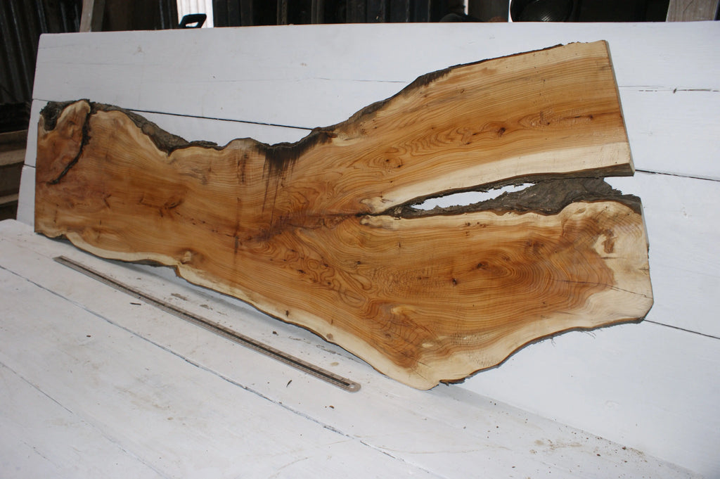 English Yew  1650 L x 555-290 W x 37 D (mm)    (149) Yew