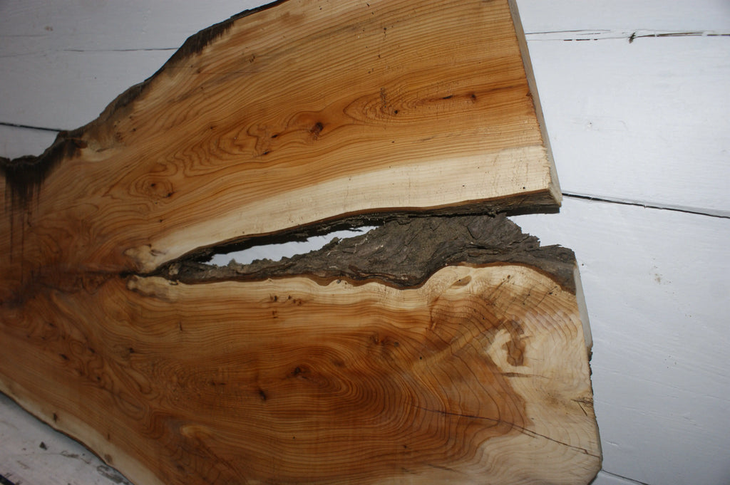 English Yew  1650 L x 555-290 W x 37 D (mm)    (149) Yew