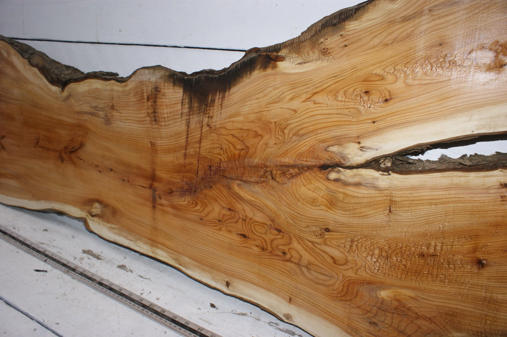 English Yew  1650 L x 555-290 W x 37 D (mm)    (149) Yew
