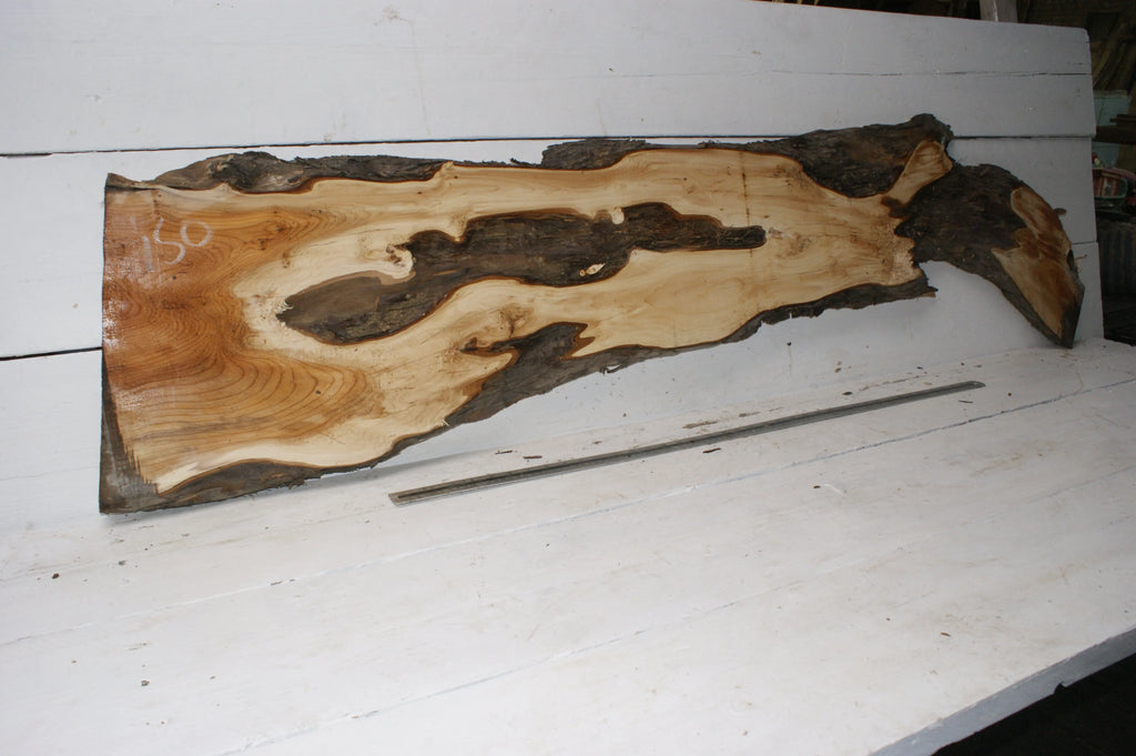 English Yew  1700 L x 400-200 W x 37 D (mm)    (150) Yew