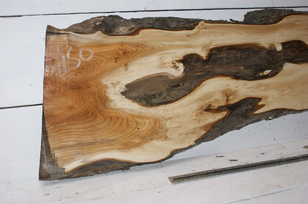 English Yew  1700 L x 400-200 W x 37 D (mm)    (150) Yew