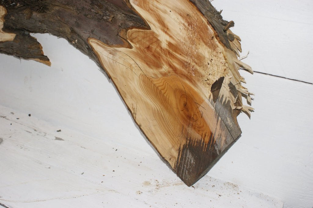 English Yew  1700 L x 400-200 W x 37 D (mm)    (150) Yew