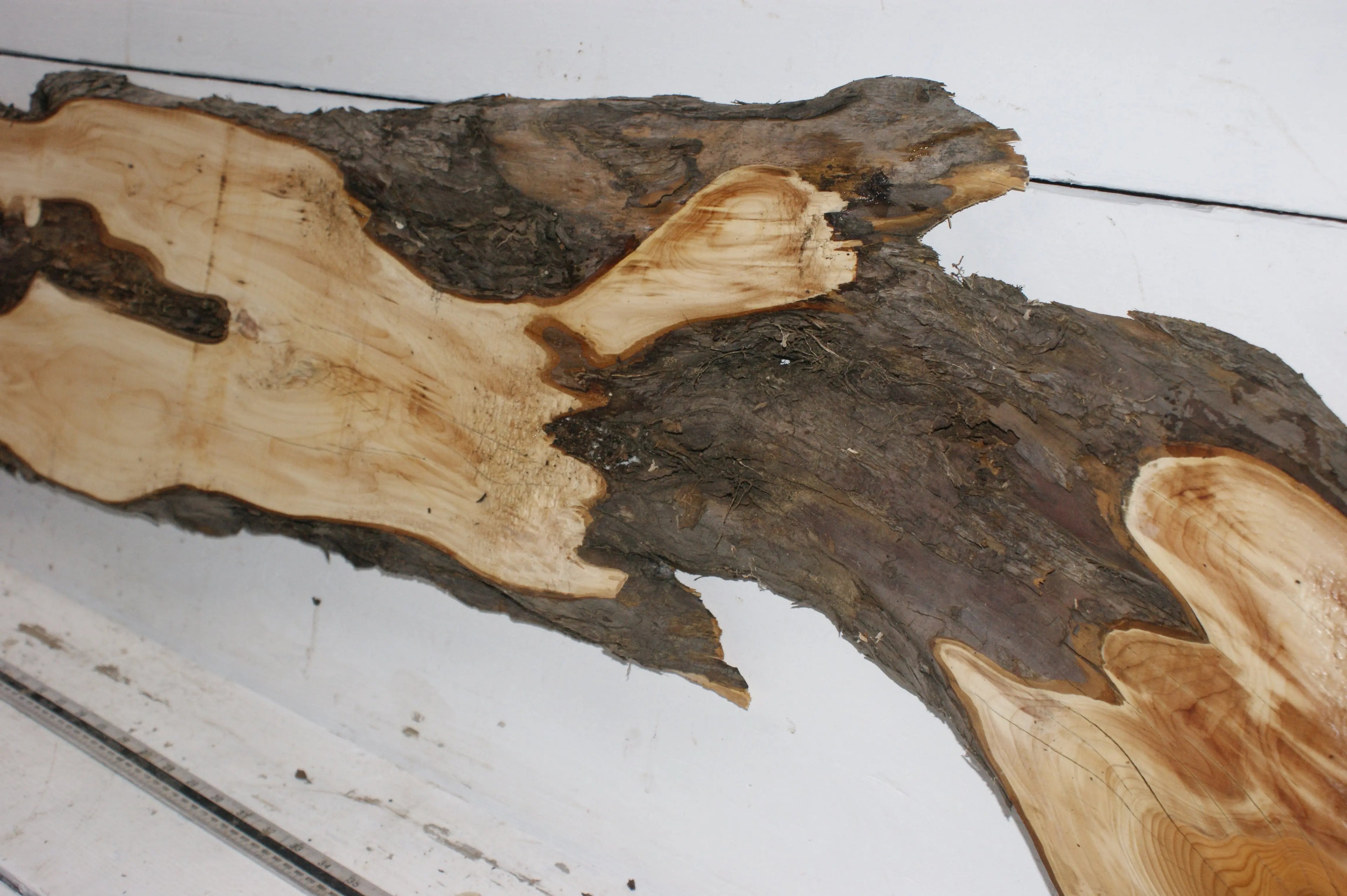 English Yew  1700 L x 400-200 W x 37 D (mm)    (150) Yew