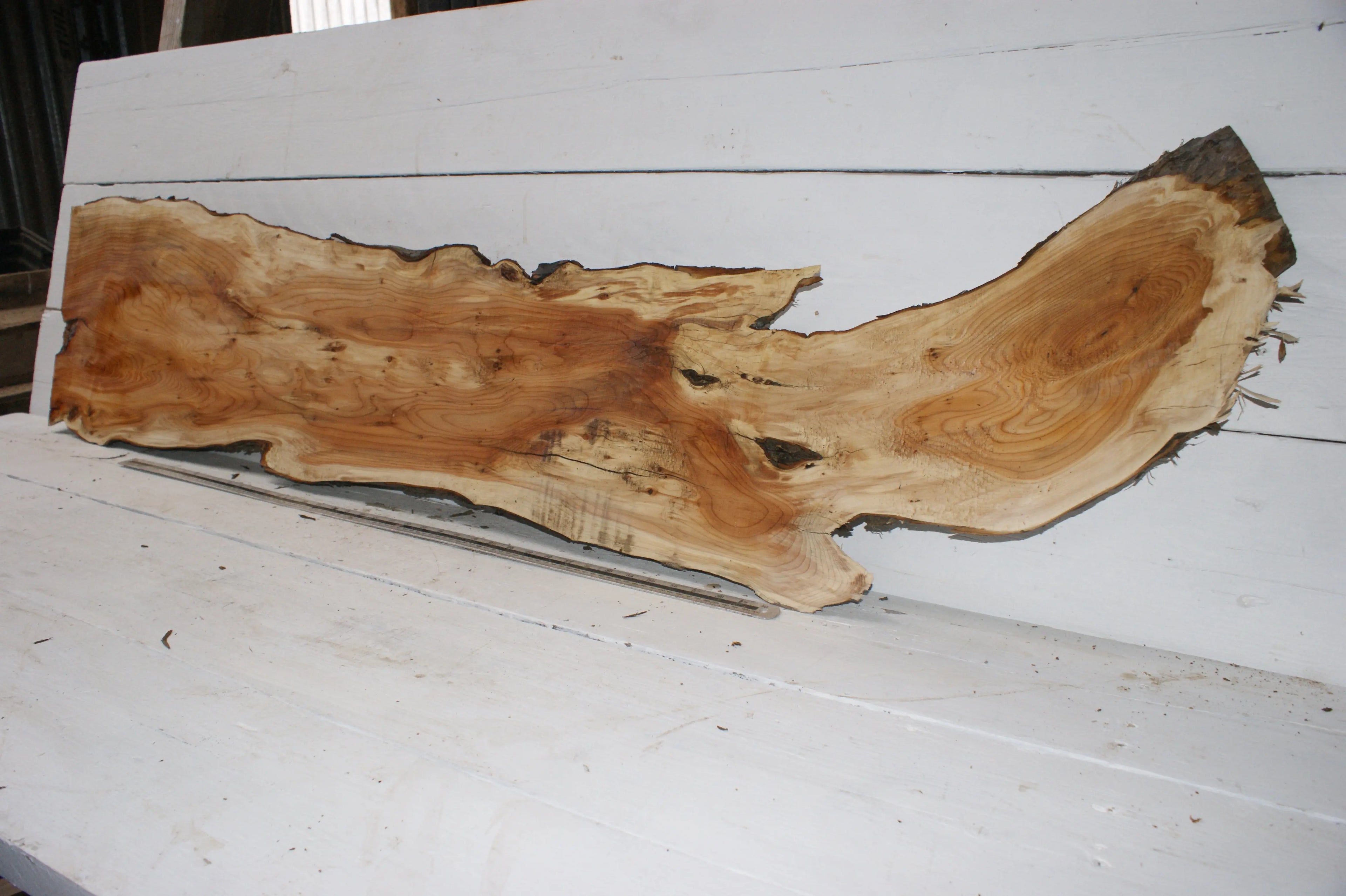 English Yew  1700 L x 400-200 W x 37 D (mm)    (150) Yew