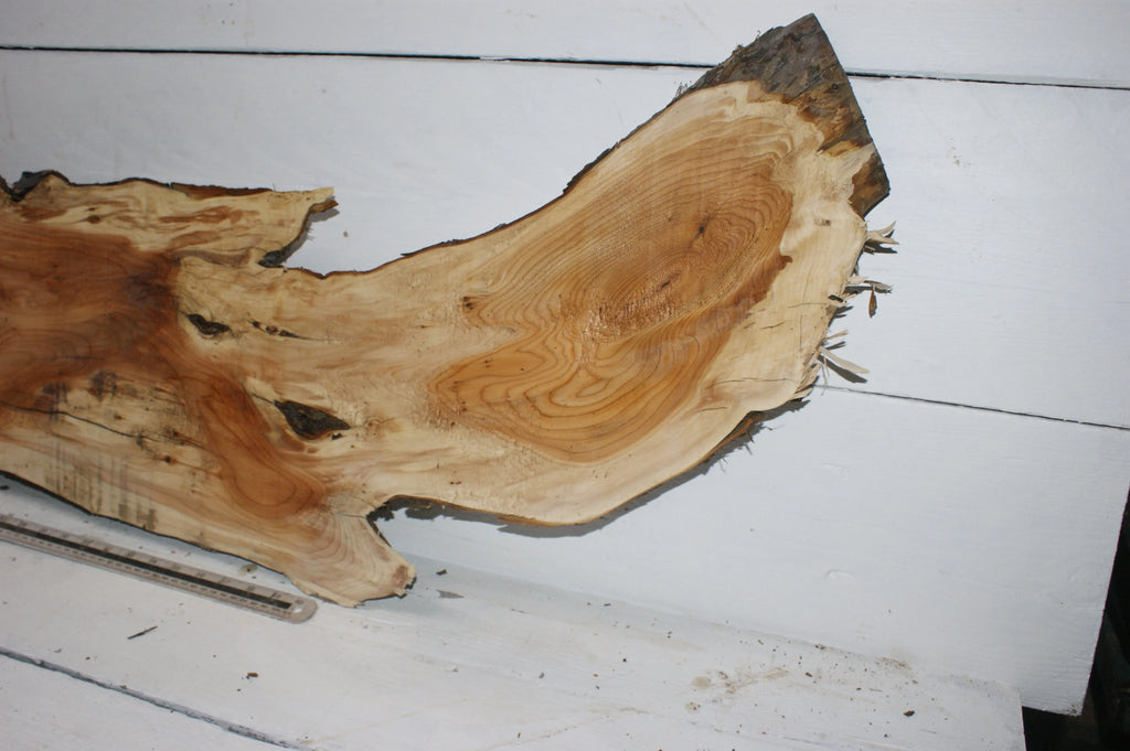 English Yew  1700 L x 400-200 W x 37 D (mm)    (150) Yew