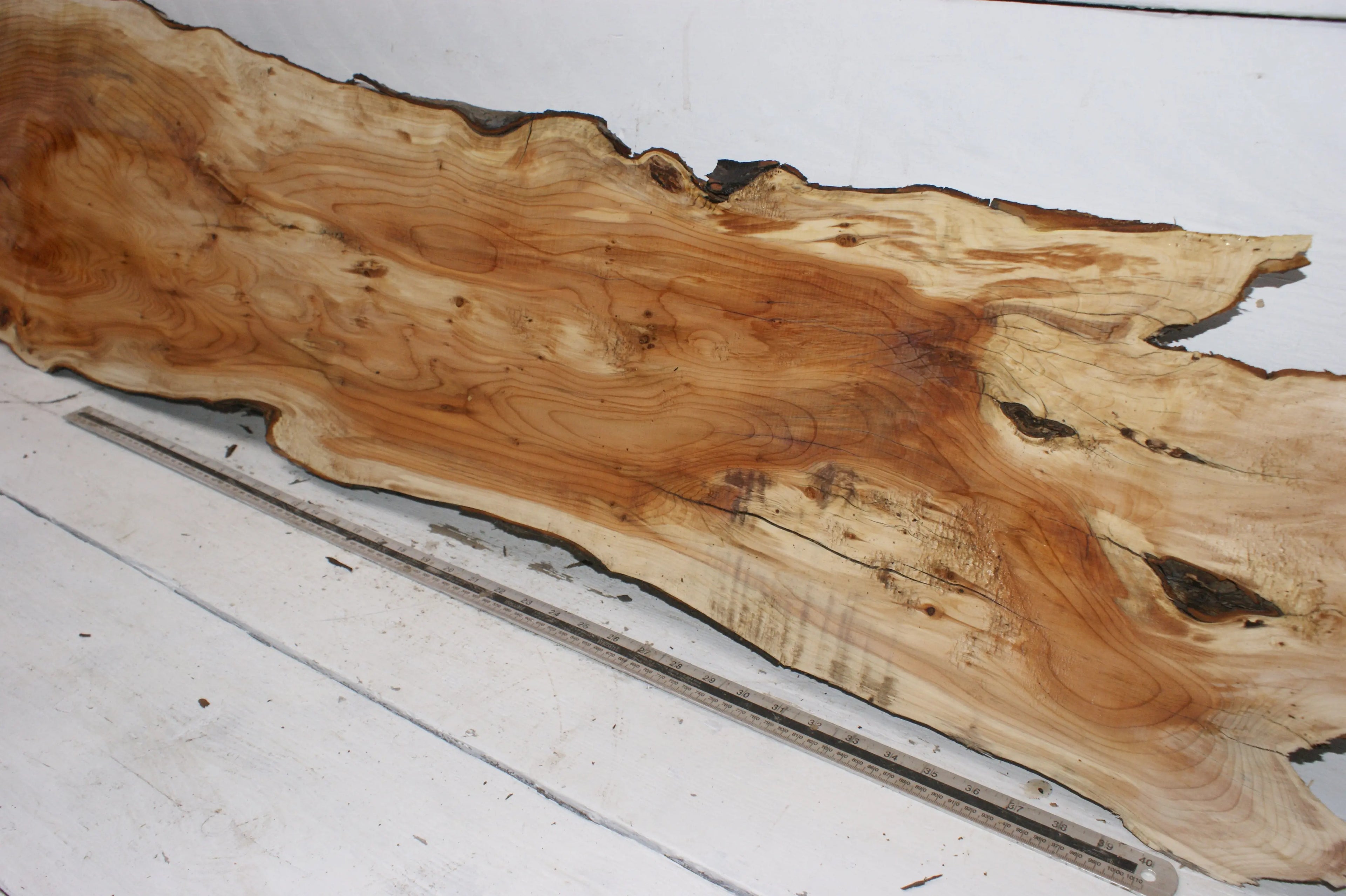 English Yew  1700 L x 400-200 W x 37 D (mm)    (150) Yew