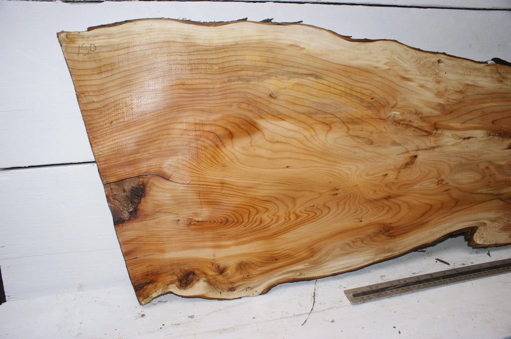 English Yew  1700 L x 400-200 W x 37 D (mm)    (150) Yew