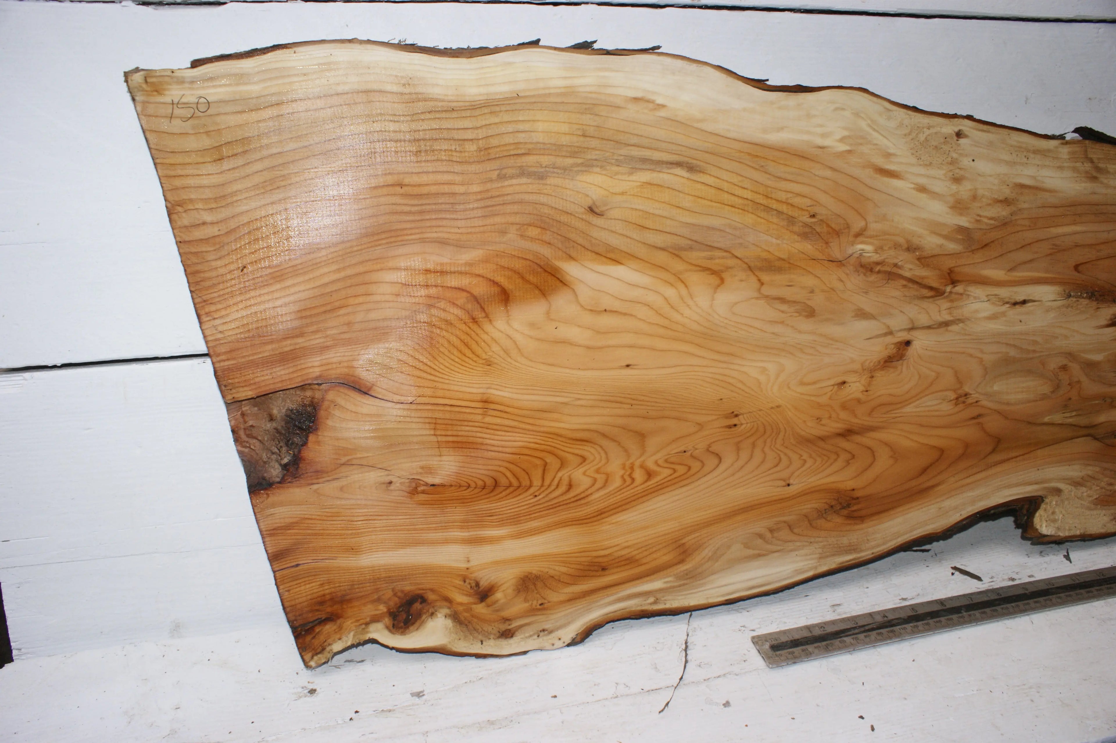English Yew  1700 L x 400-200 W x 37 D (mm)    (150) Yew