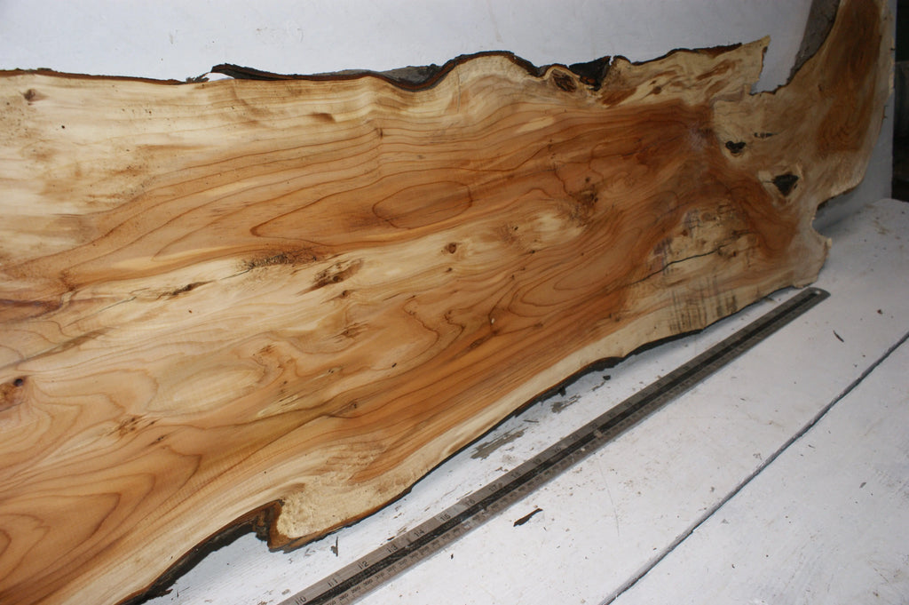 English Yew  1700 L x 400-200 W x 37 D (mm)    (150) Yew