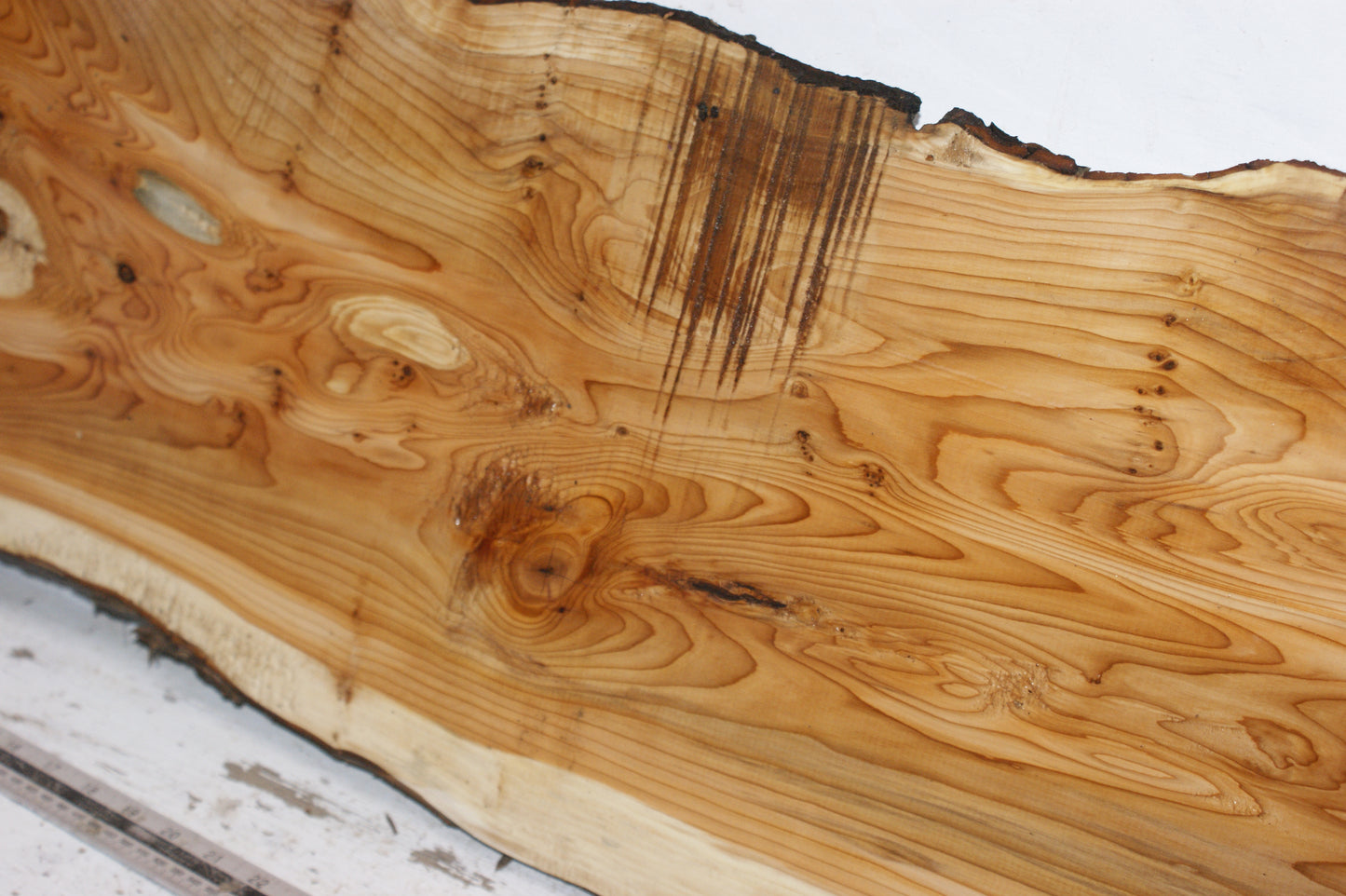 English Yew  1660 L x 495-115 W x 35 D (mm)    (151)