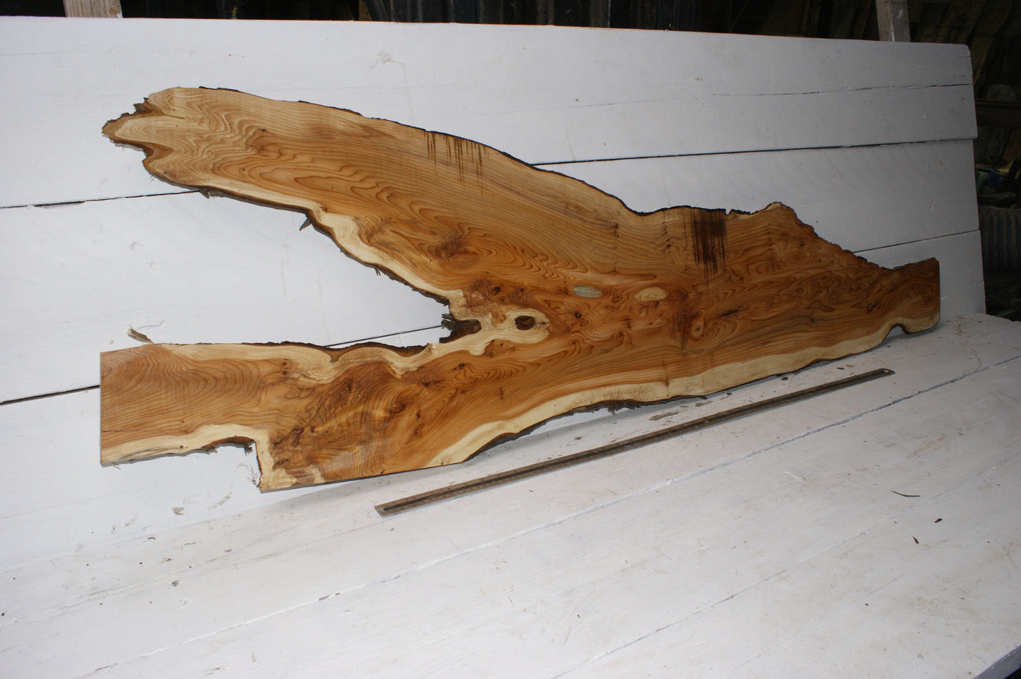 English Yew  1660 L x 495-115 W x 35 D (mm)    (151)