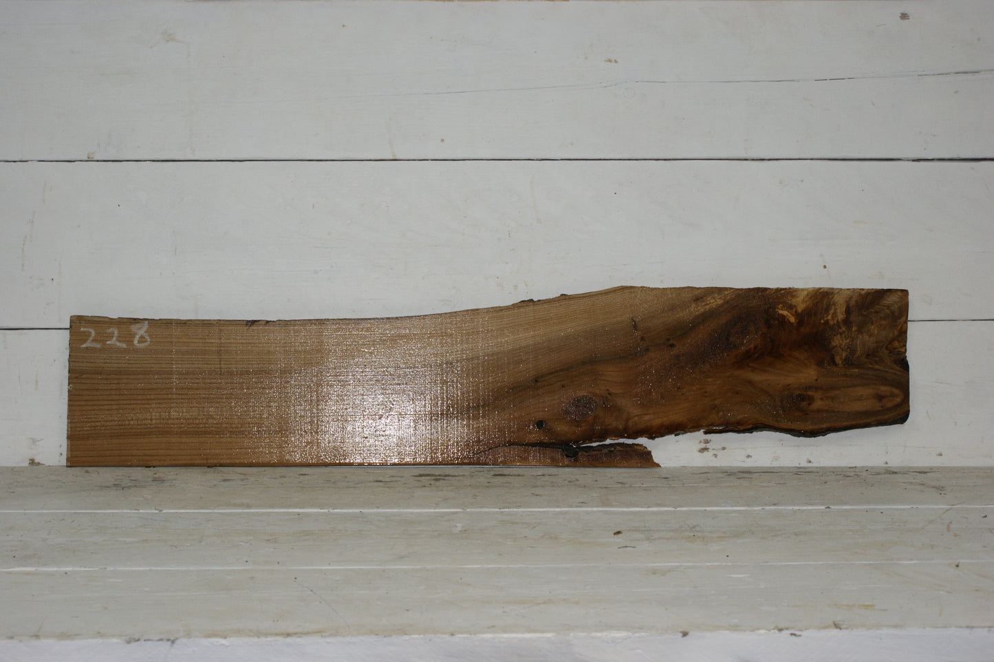 English Elm plank   (228)