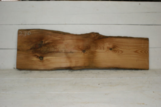 Larch plank   (230)