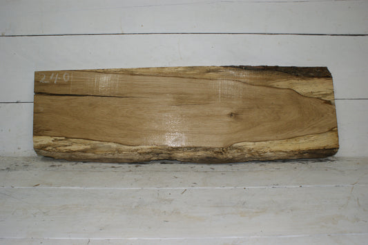 Oak board  (240)