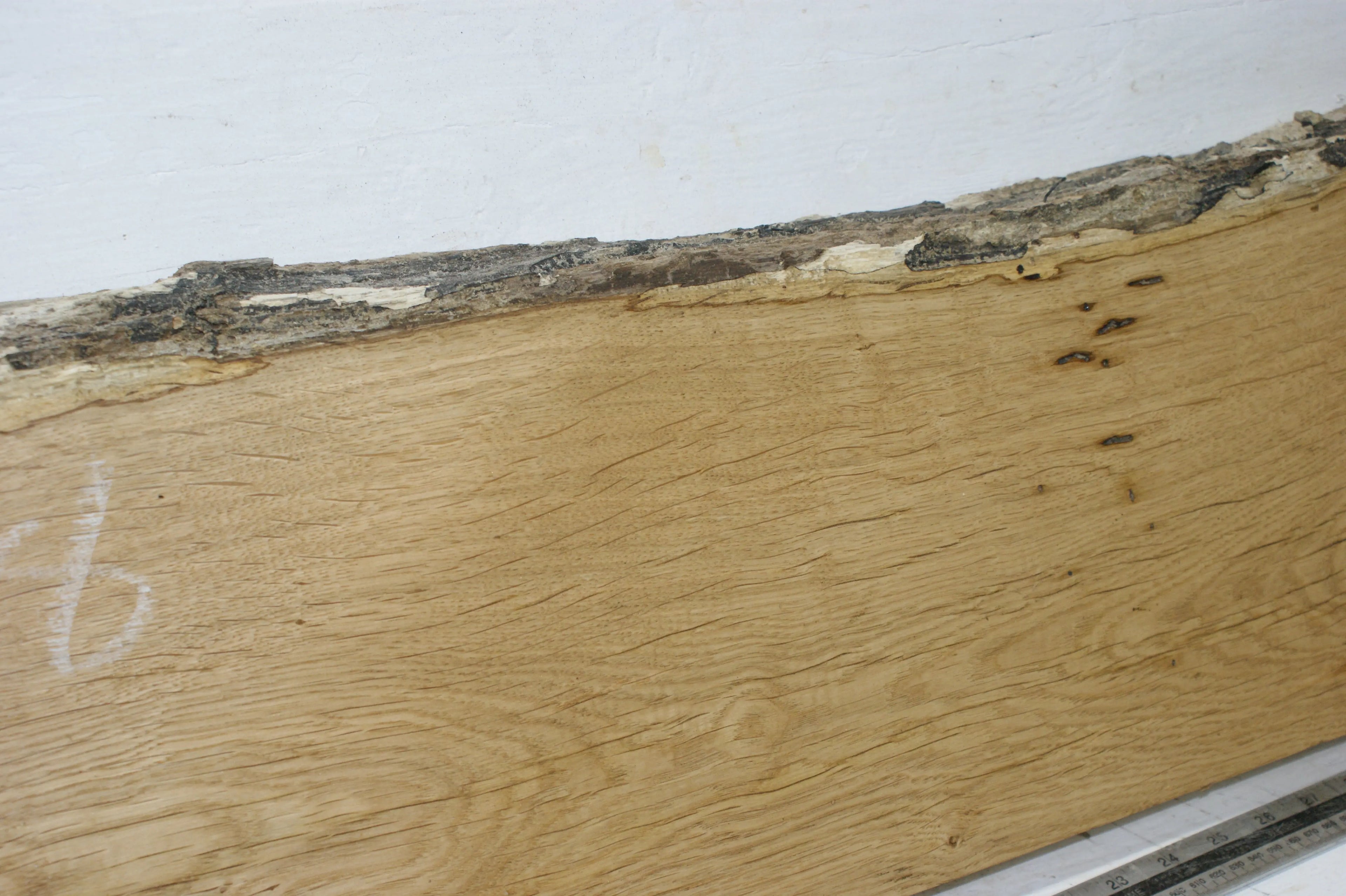 Oak, 852 L x 264 - 228 W x 44 D (mm) plank, hardwood timber  (268) Oak & Burr Oak