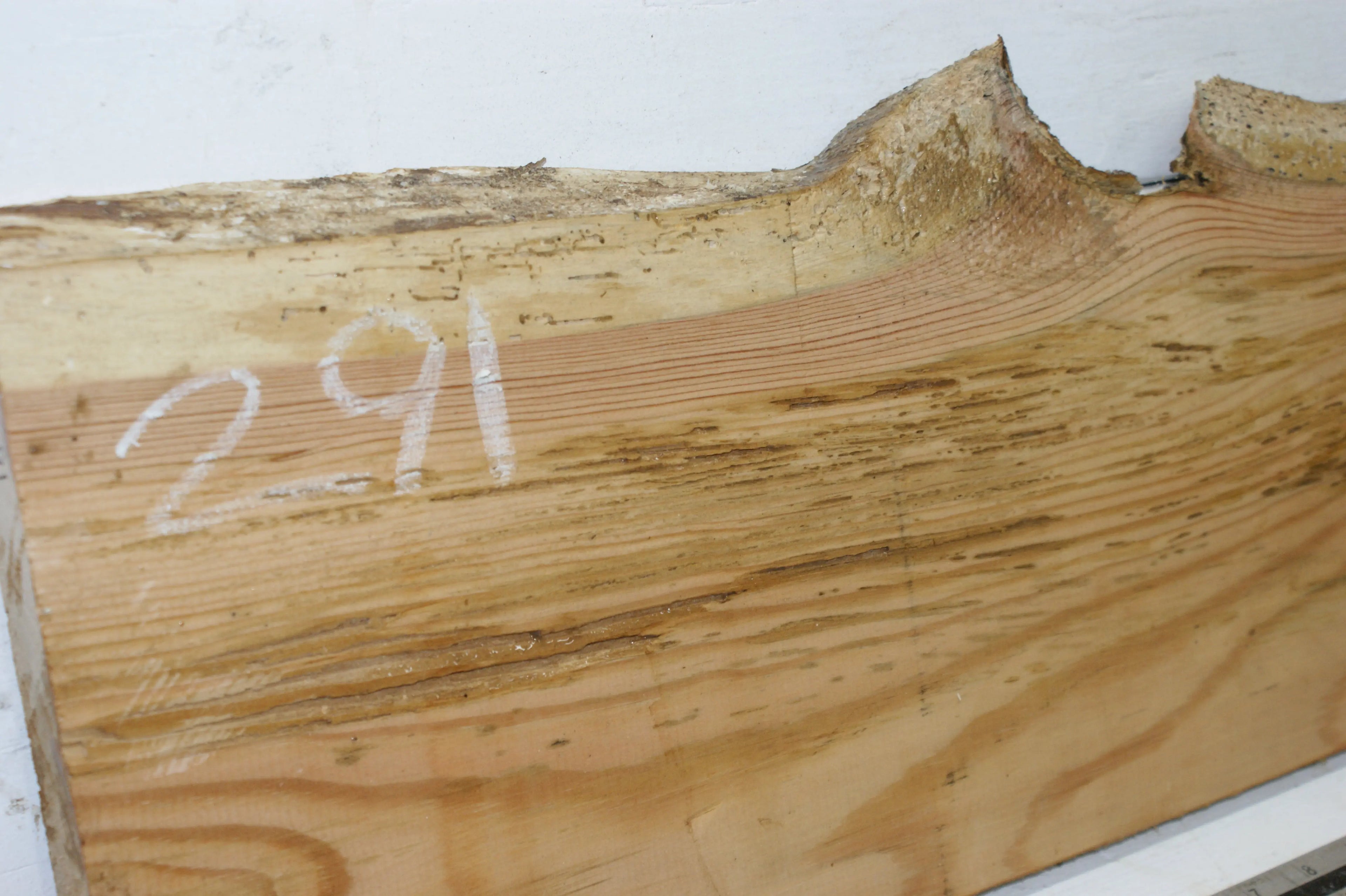 AIR DRIED LARCH, 1479 L x 235 - 214 W x 24 D (mm) SOFTWOOD (291) Larch