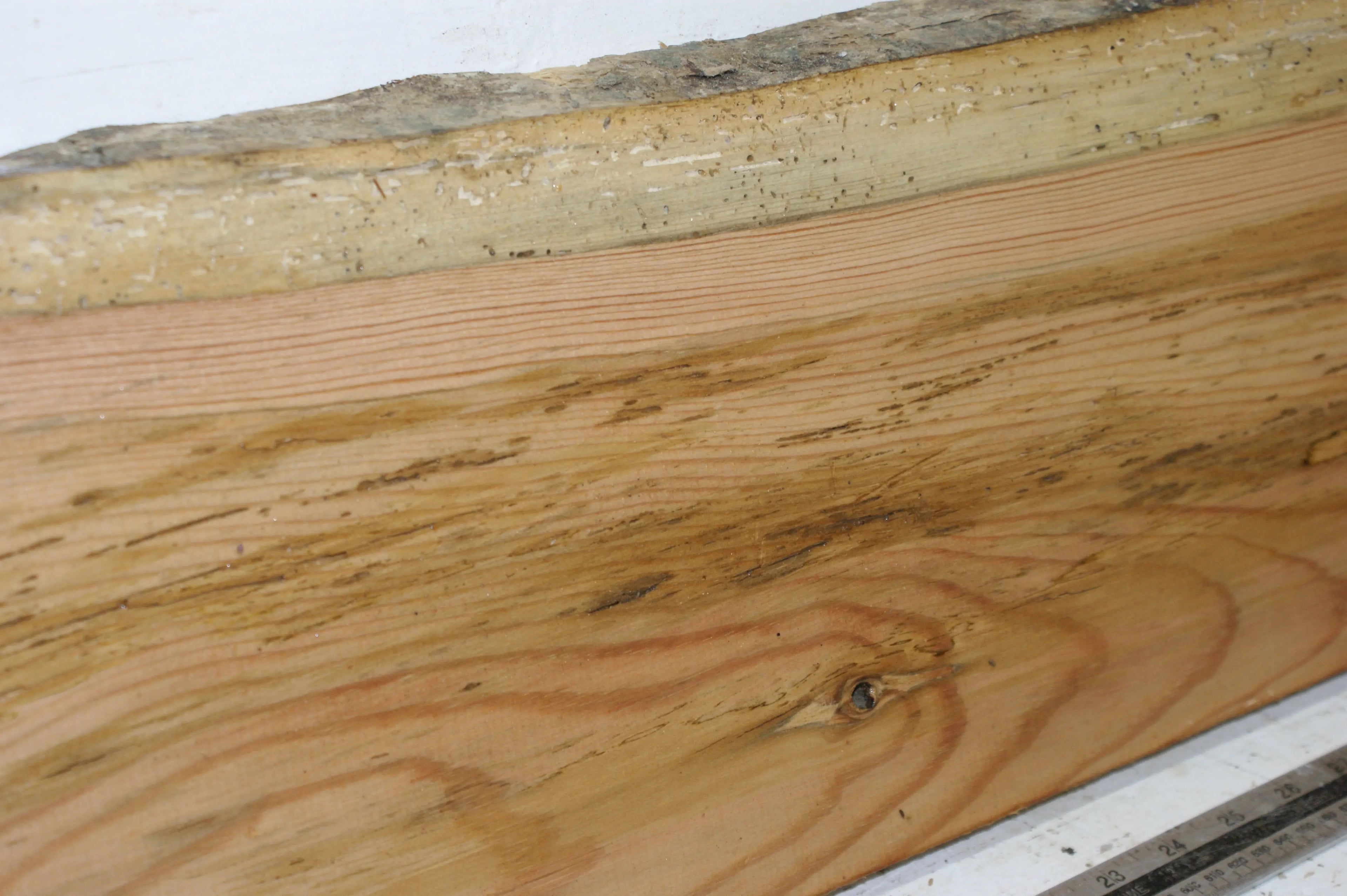 AIR DRIED LARCH, 1479 L x 235 - 214 W x 24 D (mm) SOFTWOOD (291) Larch