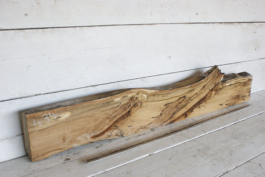 (434) SPALTED BEECH, HARDWOOD 1204 L x 190 - 137 W x 49 D (mm)