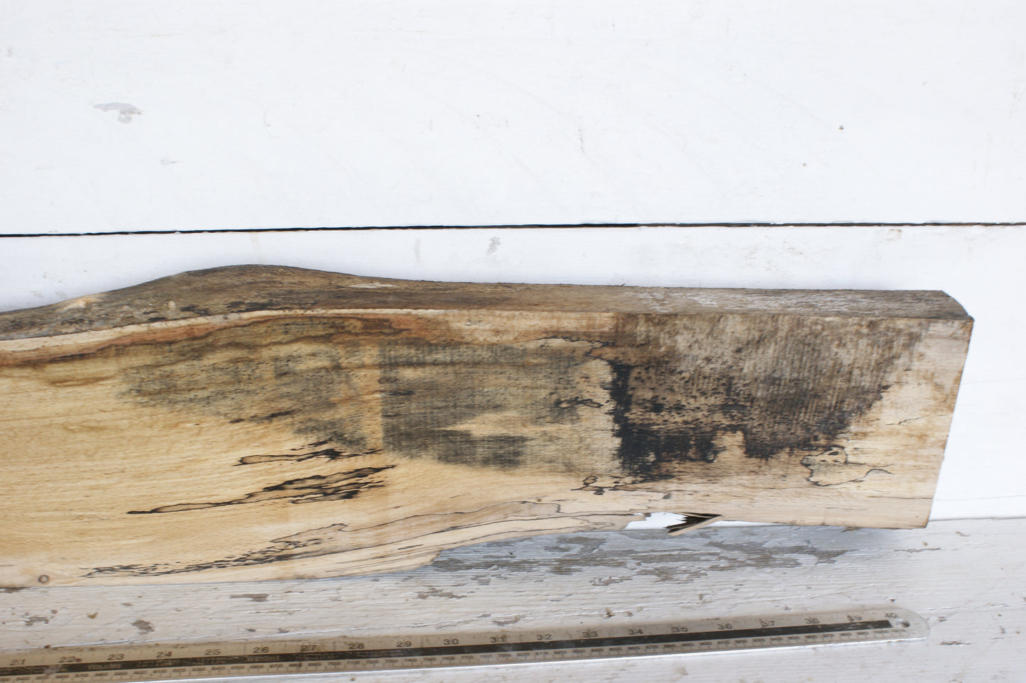(434) SPALTED BEECH, HARDWOOD 1204 L x 190 - 137 W x 49 D (mm)