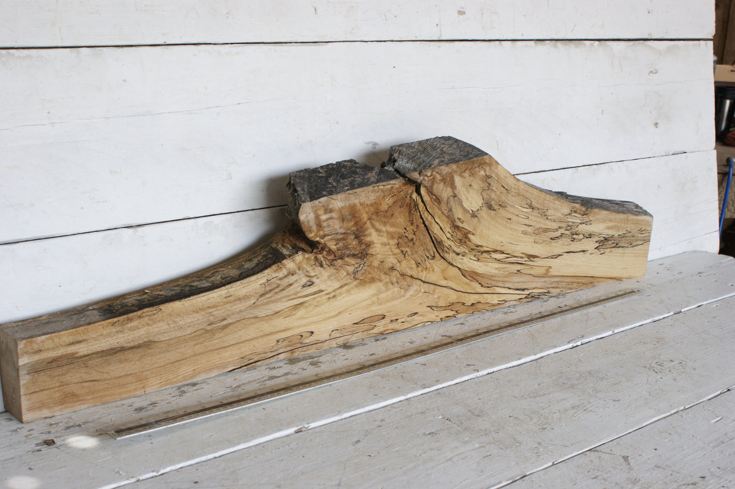 (438) SPALTED BEECH, HARDWOOD 1189 L x 261 - 102 W x 50 D (mm)