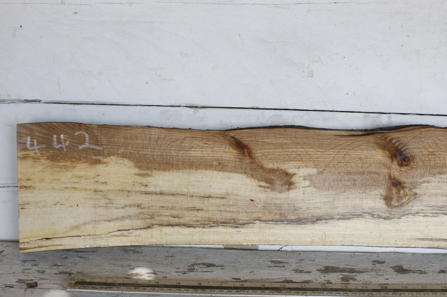 (442) SPALTED BEECH, HARDWOOD 1167 L x 176 - 147 W x 37 D (mm)