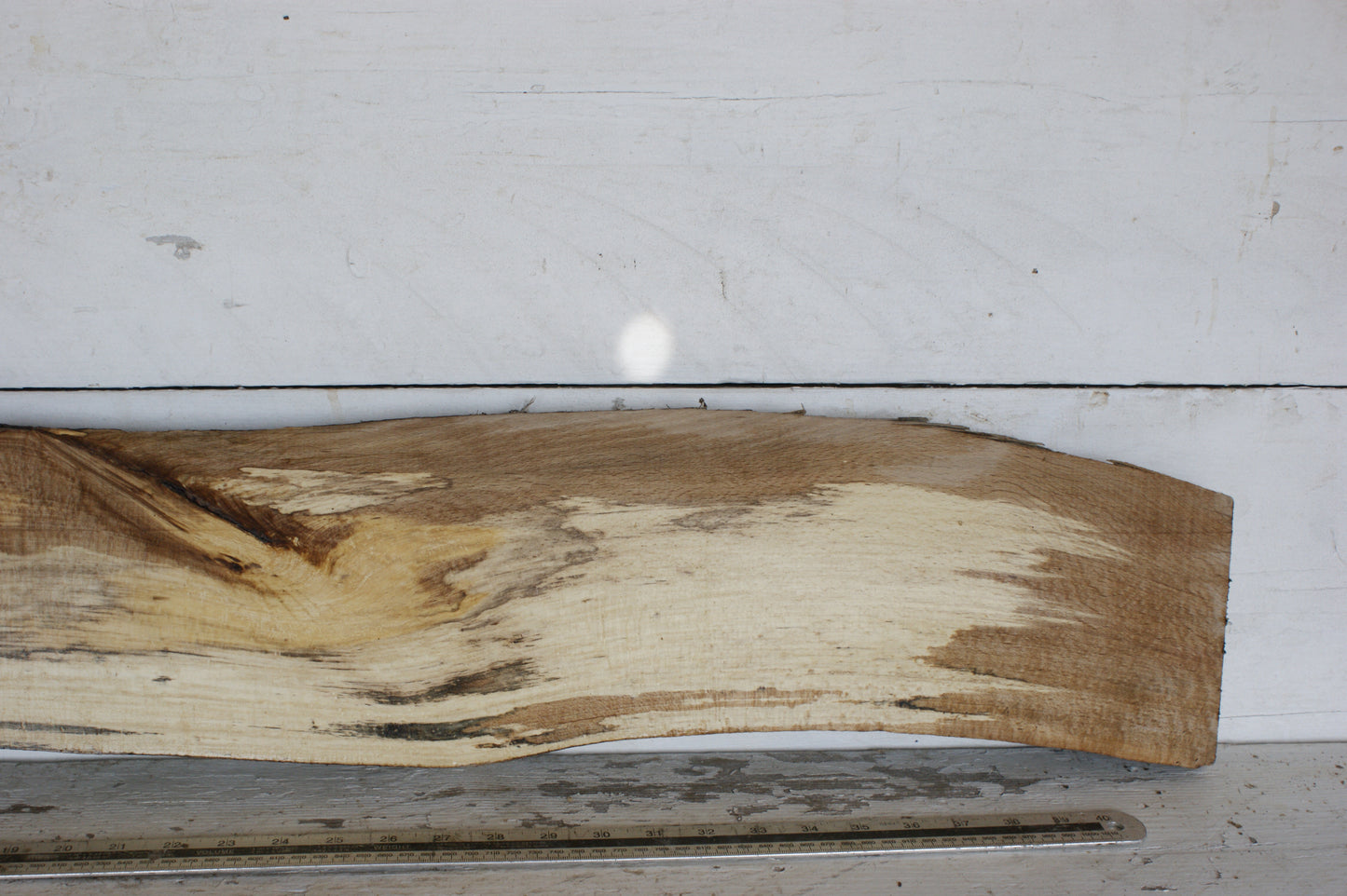 (442) SPALTED BEECH, HARDWOOD 1167 L x 176 - 147 W x 37 D (mm)