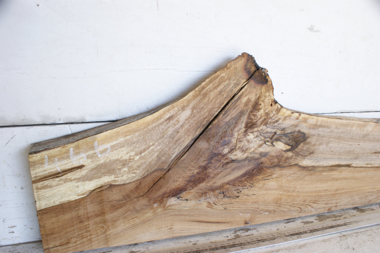 (466) SPALTED BEECH, HARDWOOD 925 L x 226 - 161 W x 37 D (mm)