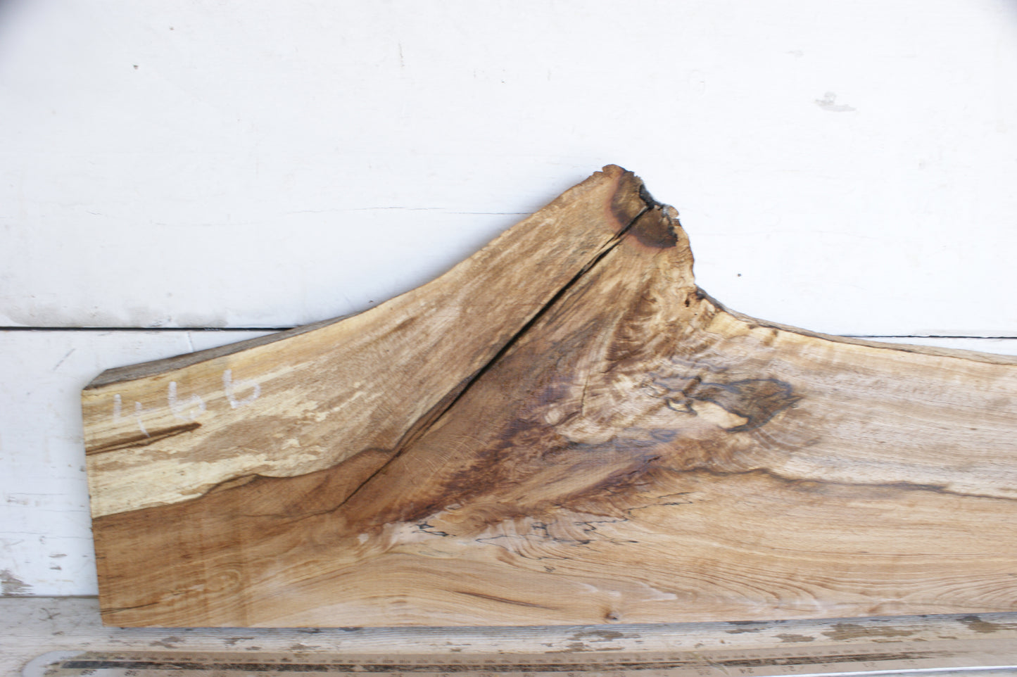 (466) SPALTED BEECH, HARDWOOD 925 L x 226 - 161 W x 37 D (mm)