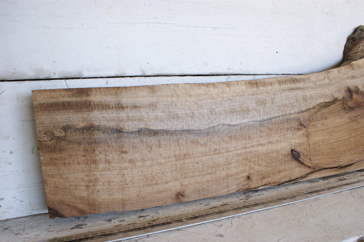 (466) SPALTED BEECH, HARDWOOD 925 L x 226 - 161 W x 37 D (mm)
