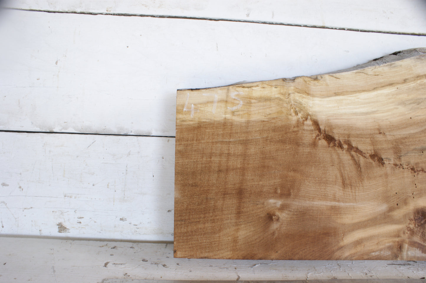 Spalted Sycamore 775 L x 404 - 275 W x 60 D (mm) (475)