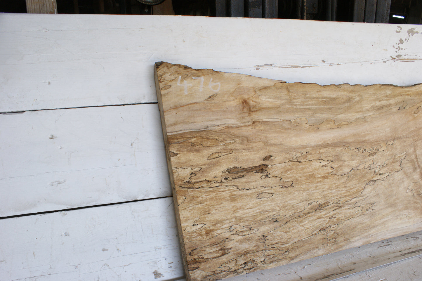 Spalted Sycamore 1145 L x 502 - 381 W x 43 D (mm) (476)