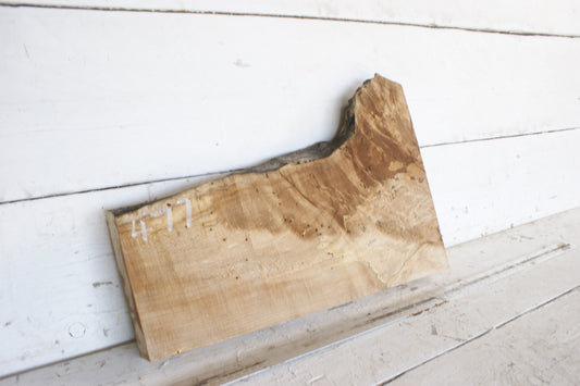 Spalted Sycamore 482 L x 300 - 179 W x 48 D (mm) (477)