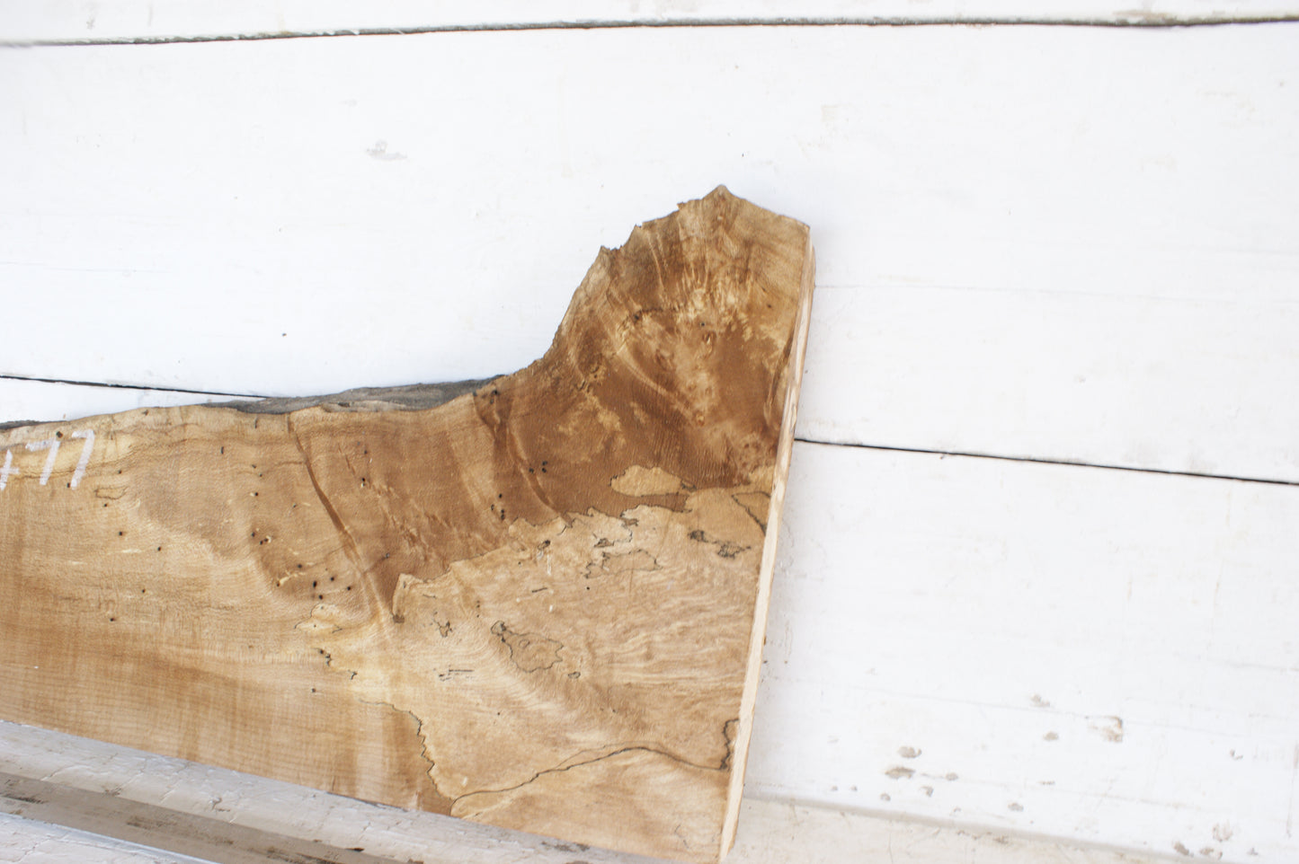 Spalted Sycamore 482 L x 300 - 179 W x 48 D (mm) (477)