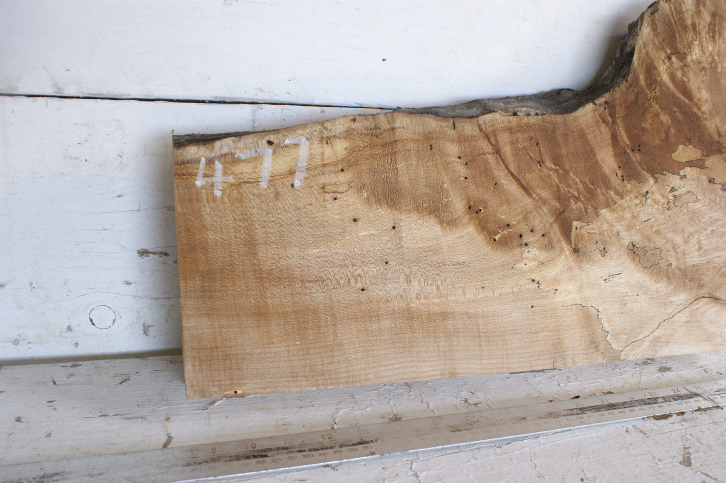Spalted Sycamore 482 L x 300 - 179 W x 48 D (mm) (477)