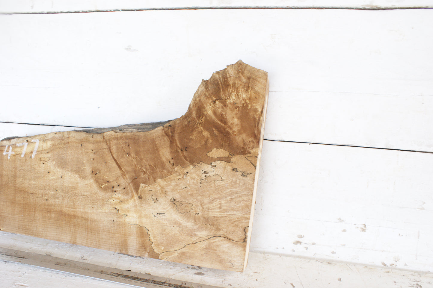 Spalted Sycamore 482 L x 300 - 179 W x 48 D (mm) (477)
