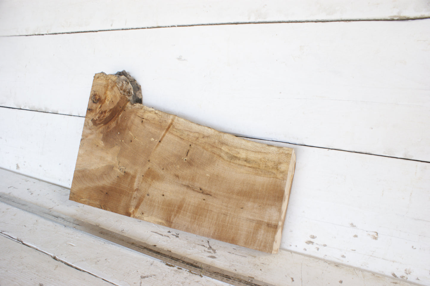 Spalted Sycamore 482 L x 300 - 179 W x 48 D (mm) (477)