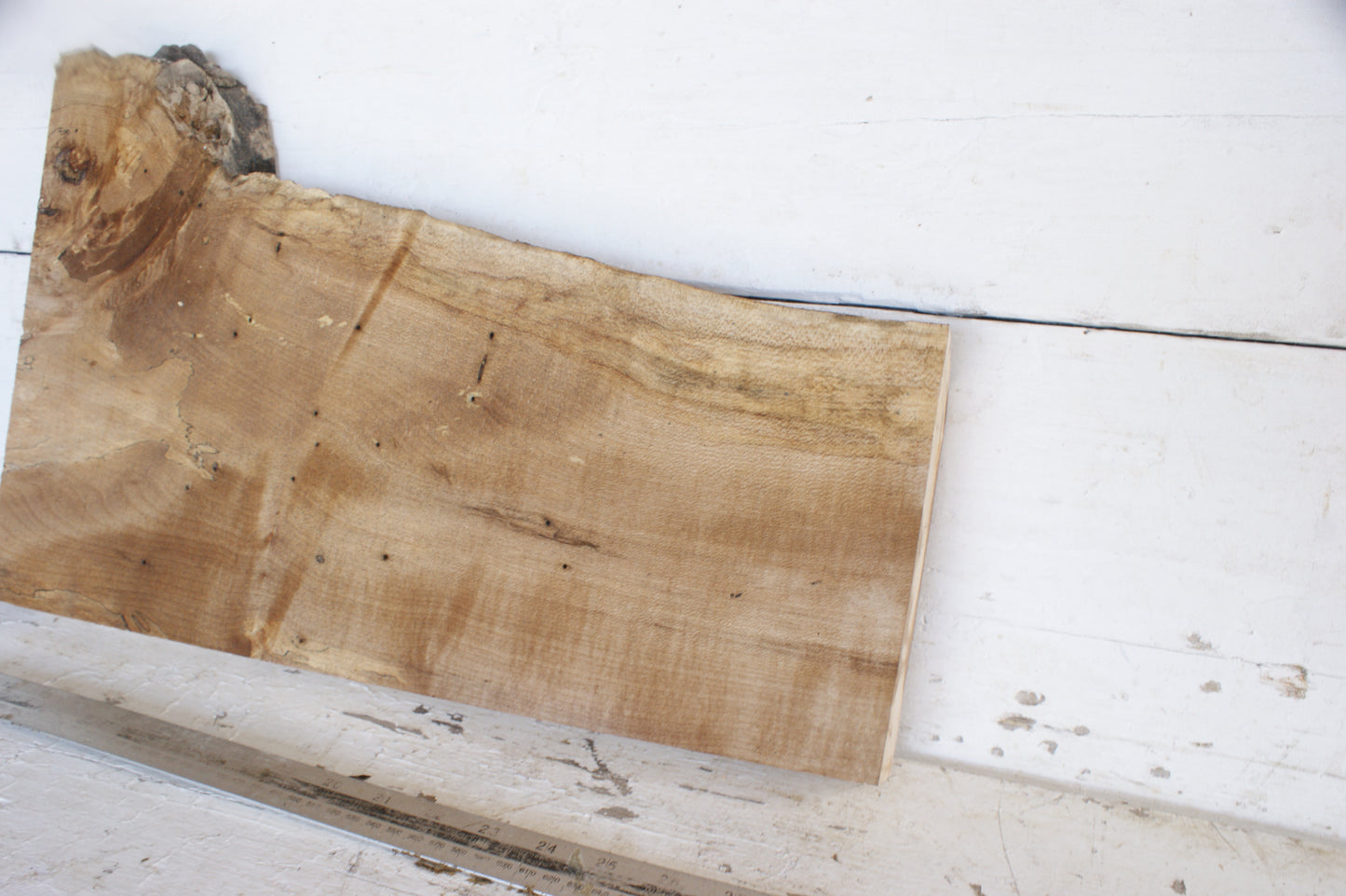 Spalted Sycamore 482 L x 300 - 179 W x 48 D (mm) (477)