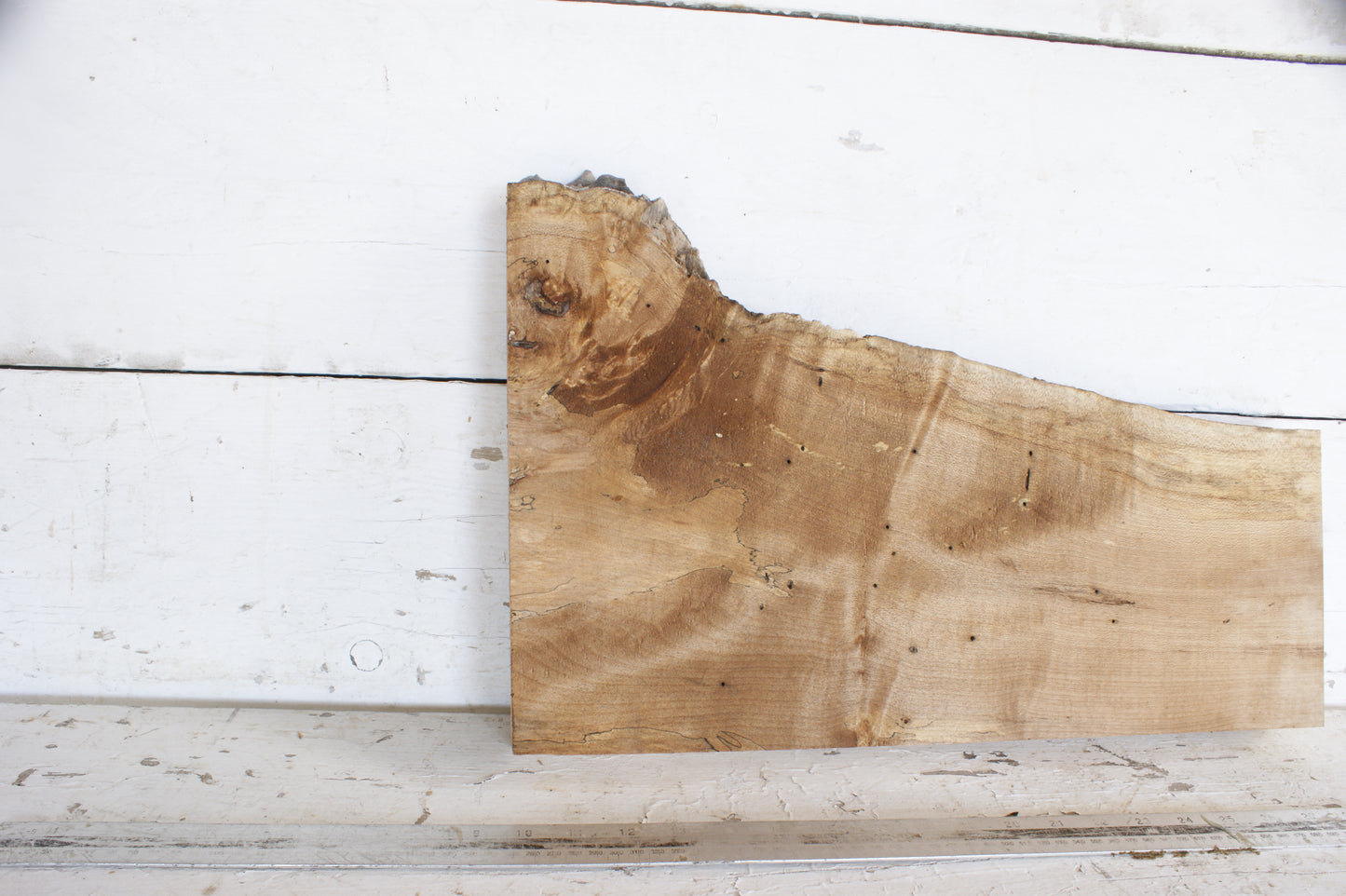Spalted Sycamore 482 L x 300 - 179 W x 48 D (mm) (477)