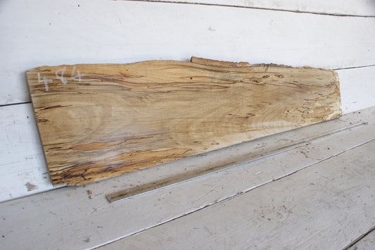 (484) SPALTED BEECH, HARDWOOD TIMBER, 1093 L x 256 - 180 W x 34 D (mm)
