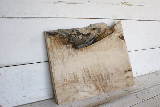 Hornbeam plank, 484 L x 417 - 365 W x 41 D (mm)  hardwood board (487)