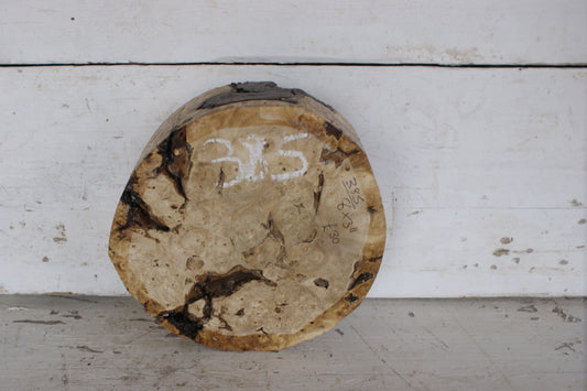 Burr Horse Chestnut wood turning blank  8 W x 3 D Inches (385)