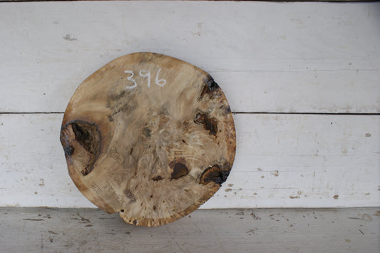 Burr Horse Chestnut wood turning blank  13 W x 2 D Inches (396)