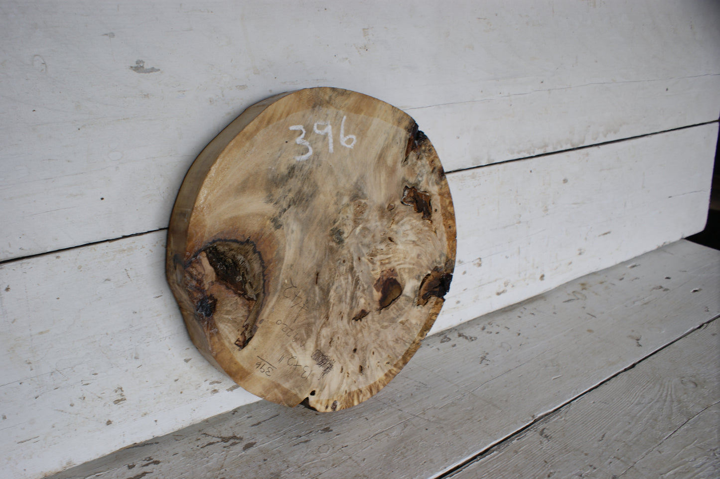 Burr Horse Chestnut wood turning blank  13 W x 2 D Inches (396)