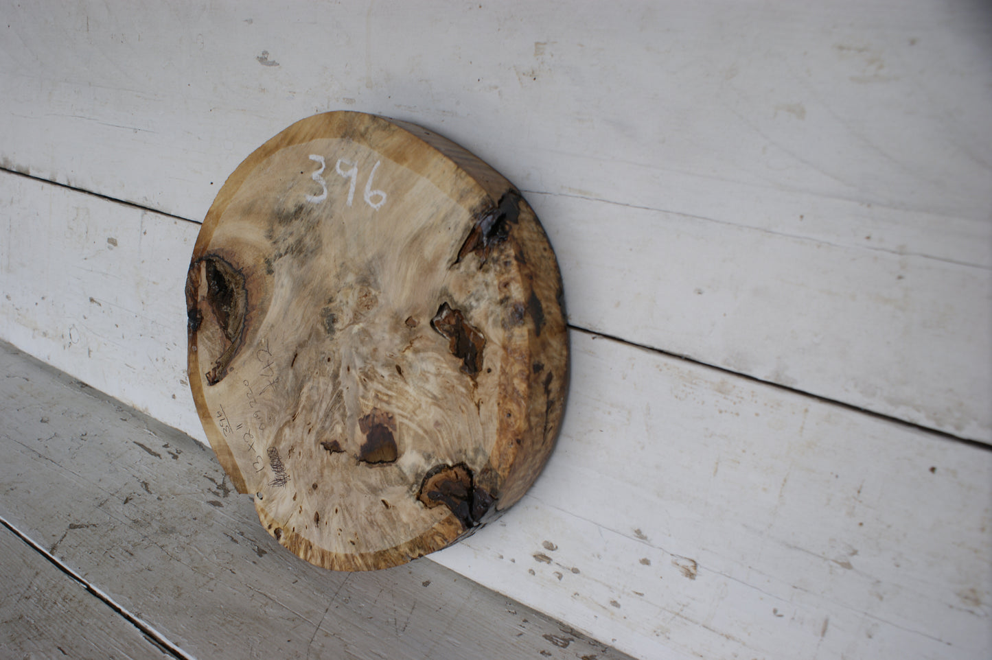 Burr Horse Chestnut wood turning blank  13 W x 2 D Inches (396)