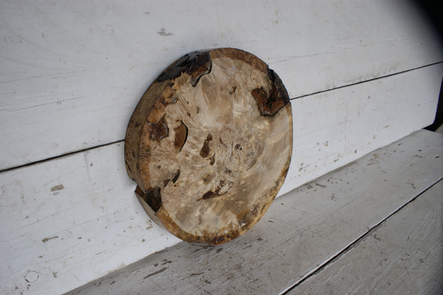 Burr Horse Chestnut wood turning blank  13 W x 2 D Inches (396)